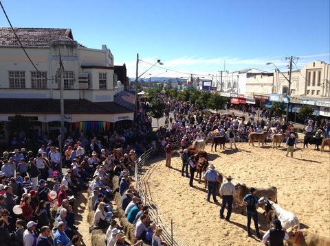 NCMC Casino Beef Week - Accommodation Great Ocean Road 0