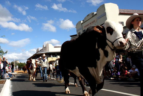 NCMC Casino Beef Week - Accommodation Great Ocean Road 1