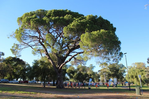 Wagga Parkrun - Accommodation Great Ocean Road 1