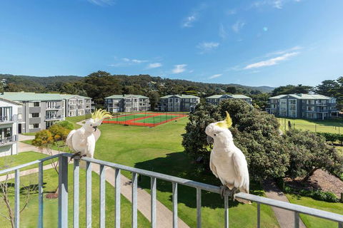 Mantra Lorne - Accommodation Great Ocean Road 3