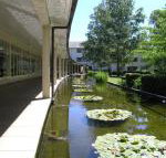 ANU University House Hotel - Accommodation Great Ocean Road