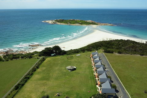 Diamond Island Resort & Bicheno Penguin Show - Accommodation Great Ocean Road 0