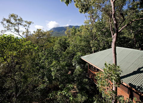 Thala Beach Nature Reserve - Accommodation Great Ocean Road 0