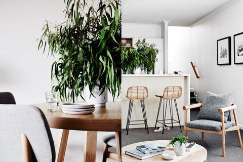 Cumberland Lorne Resort - Accommodation Great Ocean Road 2