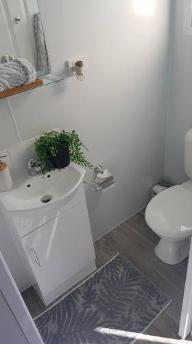 Ceespray On Owen - Accommodation Great Ocean Road 4