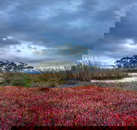 Saintys Creek Cottage - Accommodation Great Ocean Road