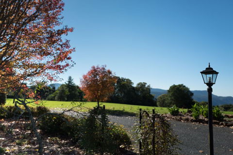 Lookout Mountain Retreat - Accommodation Great Ocean Road 0