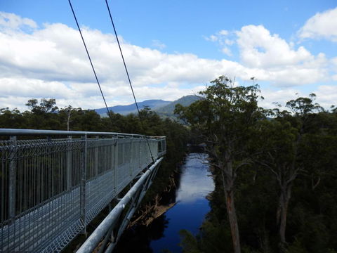 Tahune Air Walk Lodge - Accommodation Great Ocean Road 5