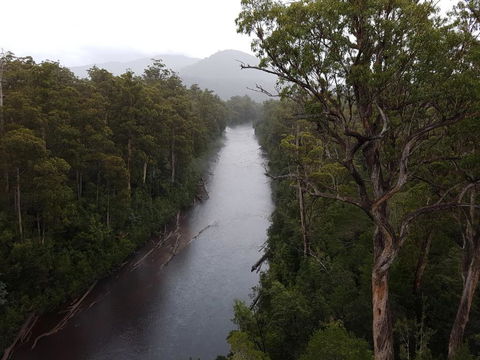 Tahune Air Walk Lodge - Accommodation Great Ocean Road 2