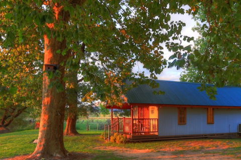 Colac Colac Caravan Park - Accommodation Great Ocean Road 5