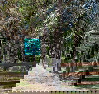 Blueberry Hills On Comleroy - Accommodation Great Ocean Road