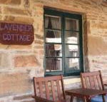 Lavender Cottage B  B - Accommodation Great Ocean Road