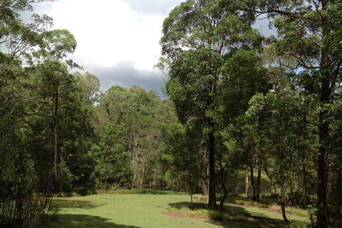 Maleny Country Cottages - Accommodation Great Ocean Road 3