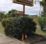 Golden West Motor Inn - Accommodation Great Ocean Road