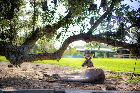 Waterfall Springs Retreat And Wildlife Sanctuary - Accommodation Great Ocean Road 5