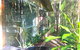 Ecostudio Fellini - thumb 3