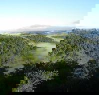 Montville Holiday House - Accommodation Great Ocean Road