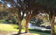 Falcon Bay 4x4 Townhouse - thumb 6