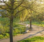 A Suite Spot in the Hills - Accommodation Great Ocean Road