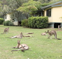 Depot Beach Cabins - Accommodation Great Ocean Road