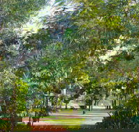 Banyan Tree Resort - Accommodation Great Ocean Road