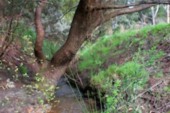 Mylor SA Accommodation Great Ocean Road