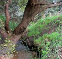 Longwood Retreat - Accommodation Great Ocean Road