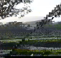 Jasmine's Cottage - Accommodation Great Ocean Road