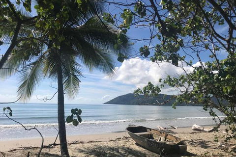 Daintree Rainforest Beach House - Accommodation Great Ocean Road 4