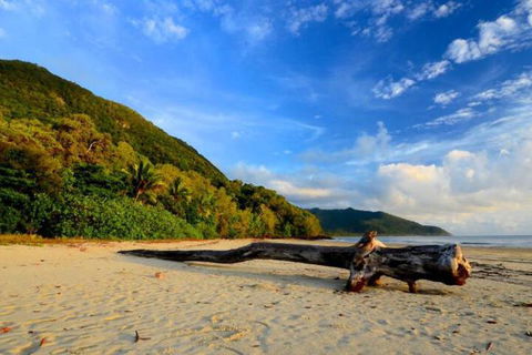 Daintree Rainforest Beach House - Accommodation Great Ocean Road 7
