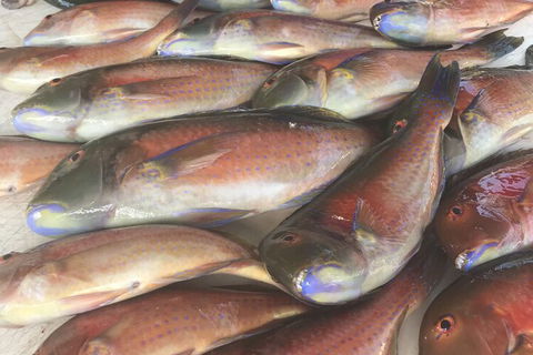 DRIFTWOOD - Accommodation Great Ocean Road 5