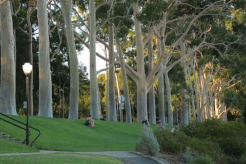 Heritage & Charming House In Subi - Accommodation Great Ocean Road 3