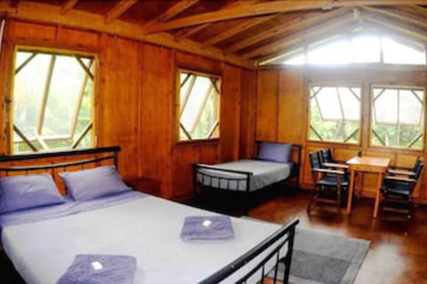 Daintree Rainforest Bungalows - Accommodation Great Ocean Road 5