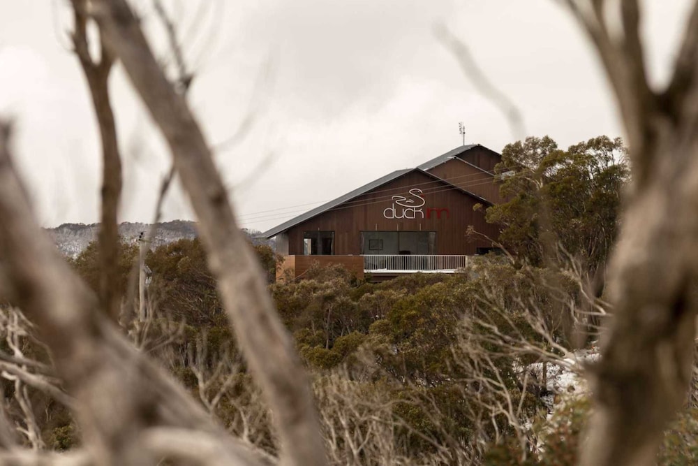 Mount Buller VIC Accommodation Great Ocean Road