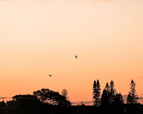 Terrigal Pacific Coastal Retreat - Accommodation Great Ocean Road 5