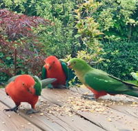 Crimson Villa - Accommodation Great Ocean Road
