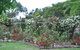 Fairy Wren Cottage Country To Coast Retreat - thumb 6