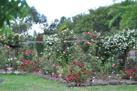 Fairy Wren Cottage Country To Coast Retreat - Accommodation Great Ocean Road 6