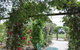 Fairy Wren Cottage Country To Coast Retreat - thumb 1