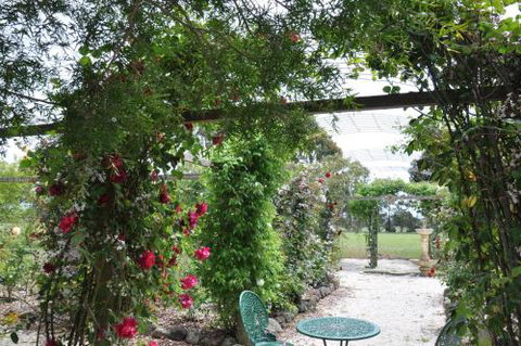 Fairy Wren Cottage Country To Coast Retreat - Accommodation Great Ocean Road 1