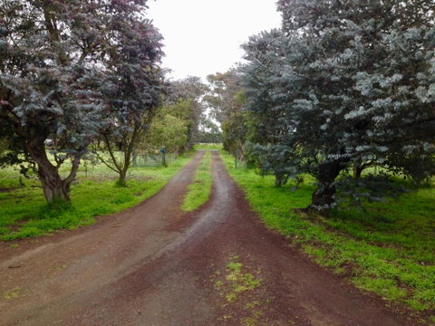 Fairy Wren Cottage Country To Coast Retreat - Accommodation Great Ocean Road 4
