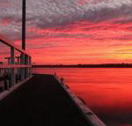Fairy Wren Cottage Country to Coast Retreat - Accommodation Great Ocean Road