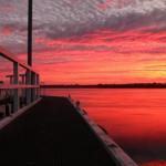 Fairy Wren Cottage Country To Coast Retreat - Accommodation Great Ocean Road 0