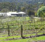 Eureka Farm - Accommodation Great Ocean Road