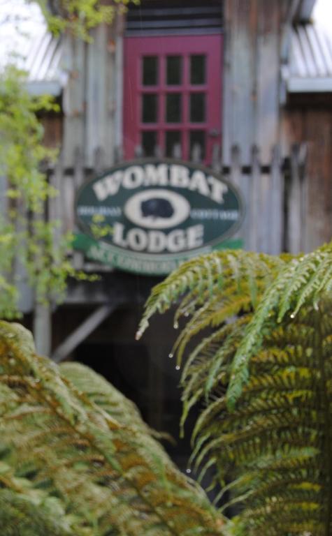 The Wombat Cottage - Accommodation Great Ocean Road 1