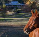 Historic Oak Hill House Estate Truffle Gourmet Festival Region - Accommodation Great Ocean Road