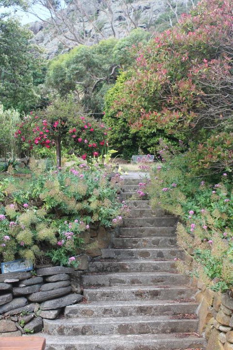 Gardenia House - Accommodation Great Ocean Road 2