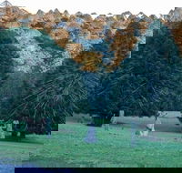 Escape to the Country - Enjoy the Firepit or Explore Magical Bunya Mountains - Accommodation Great Ocean Road