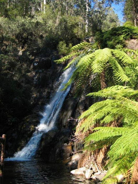 RiverCottage Selfcontained - Accommodation Great Ocean Road 2