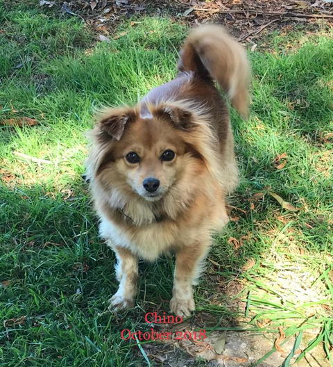 Acacia Hills Retreat - Accommodation Great Ocean Road 4